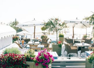 Alineaciones De Necaxa Contra Chivas: ¿Quién Sorprenderá En El Juego?