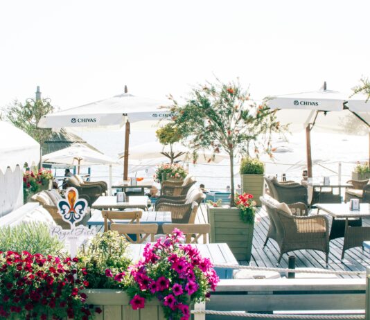 Alineaciones De Necaxa Contra Chivas: ¿Quién Sorprenderá En El Juego?