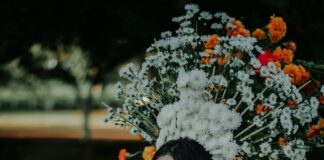 Honor México: Descubre El Secreto Detrás De Su Gran Éxito Tecnológico