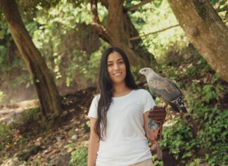 Animales De México: Descubre Las Especies Más Fascinantes y Raras