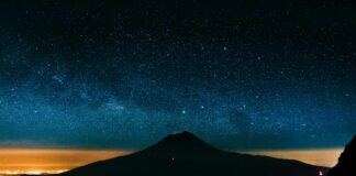 Patio Universidad Avenida Popocatépetl Xoco CDMX: ¿Qué Lo Hace Único?