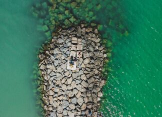 México Australia: Descubre La Conexión Sorprendente Que Une Ambos Países