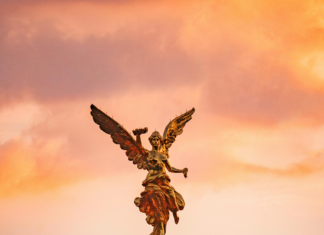 Hoteles Ciudad De Mexico Centro Historico: ¿Cuál Es El Mejor?