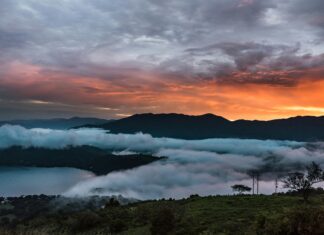 Medallas De Oro México: Descubre Su Historia Fascinante Hoy