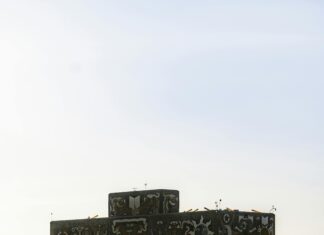 Ebc Campus Ciudad De México: ¿Por Qué Es Tu Mejor Opción Educativa?