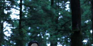 The Killers Mexico: Descubre Su Impacto Increíble y Misterioso