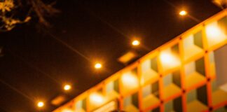 Gucci México: ¿Por Qué Es La Marca De Lujo Más Deseada Aquí?