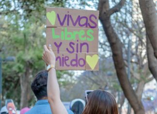 Omnibus De México Horarios Y Salidas: ¿Cómo Planear Tu Viaje Perfecto?