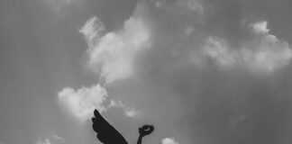 Derechos De Los Niños En México: ¿Qué Debes Saber Hoy?