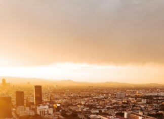 Centro Universitario México: ¿Por Qué Es Tu Mejor Opción Educativa?