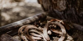 Mexico Sub 23: ¿Cuál Es El Secreto De Su Éxito Futbolístico?