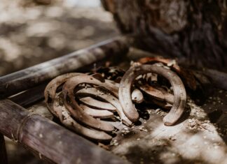 Mexico Sub 23: ¿Cuál Es El Secreto De Su Éxito Futbolístico?