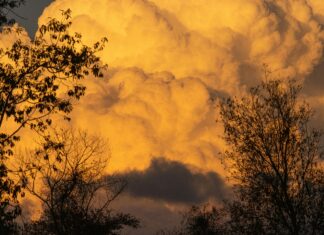 Mexico Vs Costa Rica Copa Oro: ¿Quién Dominará El Partido Clave?