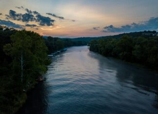 Hollister Mexico: Descubre Por Qué Todos Aman Esta Marca Ícono