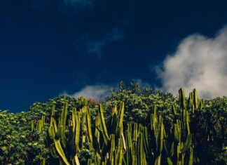 Mexico Costa Rica: Descubre Las Sorprendentes Joyas Ocultas De Ambos Países