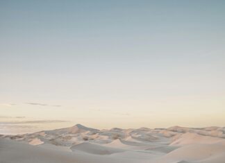 Vuelos A Japón Desde México: ¿Cómo Encontrar Las Mejores Ofertas?