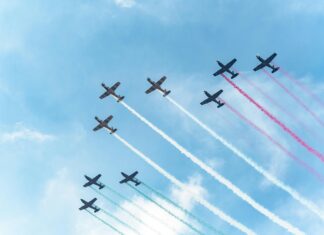 Águila De México: Descubre Su Misterioso Poder Y Significado Profundo