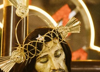 No Mercy In México: Descubre La Impactante Realidad Sin Filtro