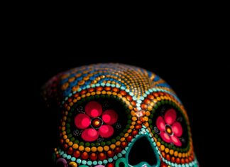 Rhode Mexico: Descubre Los Secretos Ocultos Que Nadie Te Cuenta