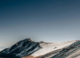 México – Camerún: Descubre El Impacto Sorprendente De Este Duelo