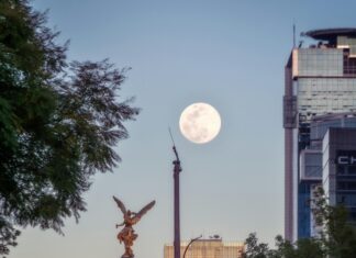 Pornhub Mexico: Descubre El Contenido Más Popular Y Exclusivo