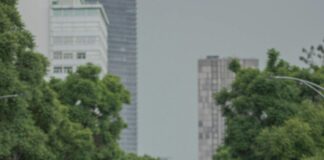 Autos Eléctricos En México: ¿Por Qué Son El Futuro Imprescindible?