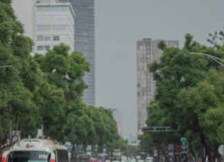 Autos Eléctricos En México: ¿Por Qué Son El Futuro Imprescindible?