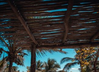 Quien Gana Villa 360 Exatlón México: Descubre La Verdad Impactante