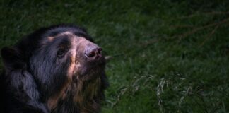 Pull And Bear Mexico: ¿Por Qué Es La Moda Que Todos Desean?