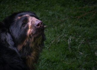 Pull And Bear Mexico: ¿Por Qué Es La Moda Que Todos Desean?