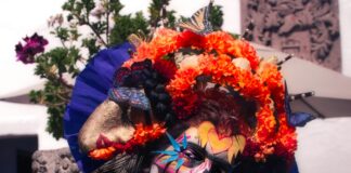 Rios De Mexico: Descubre Los Secretos y Bellezas Escondidas