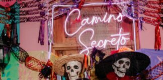 Copa Mexico: Descubre Los Secretos Que Nadie Te Cuenta