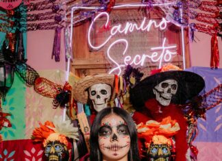 Popmart Mexico: Descubre Los Secretos Que Nadie Te Cuenta