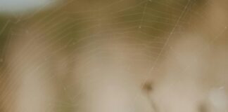 Hora Exacta Estado De Mexico: ¿Cómo Saber La Hora Precisa Ya?