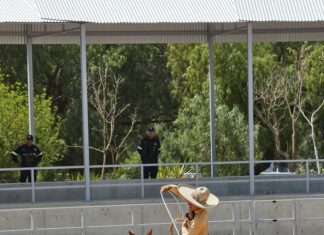 Las Américas Ecatepec De Morelos Estado De México: ¿Qué Lo Hace Único?