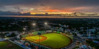 México Vs Japón Baseball Dónde Ver: ¡Descubre La Emoción En Vivo!