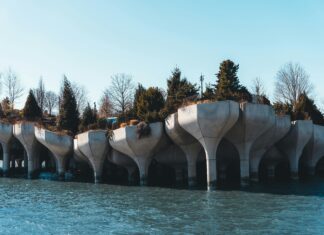 Alineaciones De Chelsea Contra West Ham: ¿Quién Dominará El Partido?