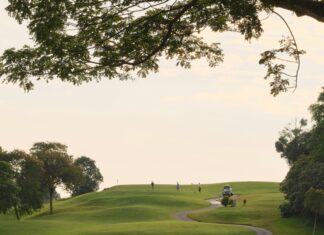 Alineaciones De Club Universidad Nacional Contra Club De Fútbol Monterrey: ¿Quién Sorprenderá En El Partido?
