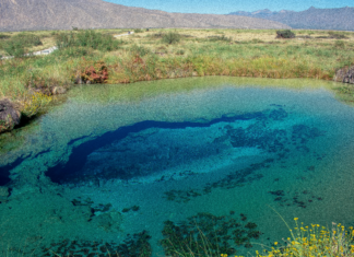 Regiones Naturales De México: Descubre Sus Secretos Fascinantes
