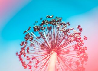 Copa Por Mexico: Descubre Por Qué Todos Hablan De Este Evento