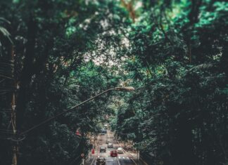 A Qué Hora Se Alinean Los Planetas: Descubre Este Misterio Cósmico