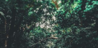 Cuando Se Alinean Los Planetas: Descubre El Misterio Cósmico Impactante