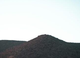 Uniqlo México: Descubre Por Qué Todos Hablan De Esta Marca