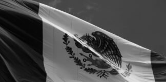 Fletes Mexico: ¿Cómo Elegir El Servicio Más Rápido Y Seguro?