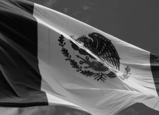 Fletes Mexico: ¿Cómo Elegir El Servicio Más Rápido Y Seguro?