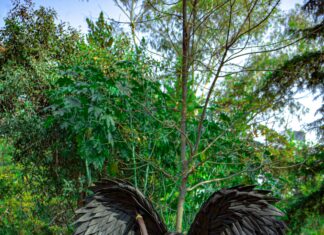 Buenavista Ciudad de México CDMX: Descubre Su Encanto Oculto