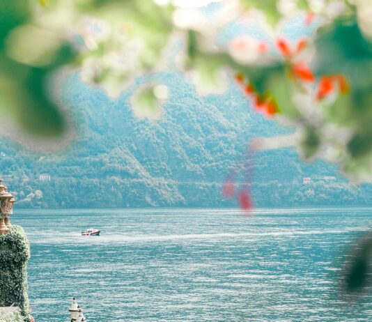 Mexico Como Vamos: Descubre Cómo Impacta Tu Futuro Hoy