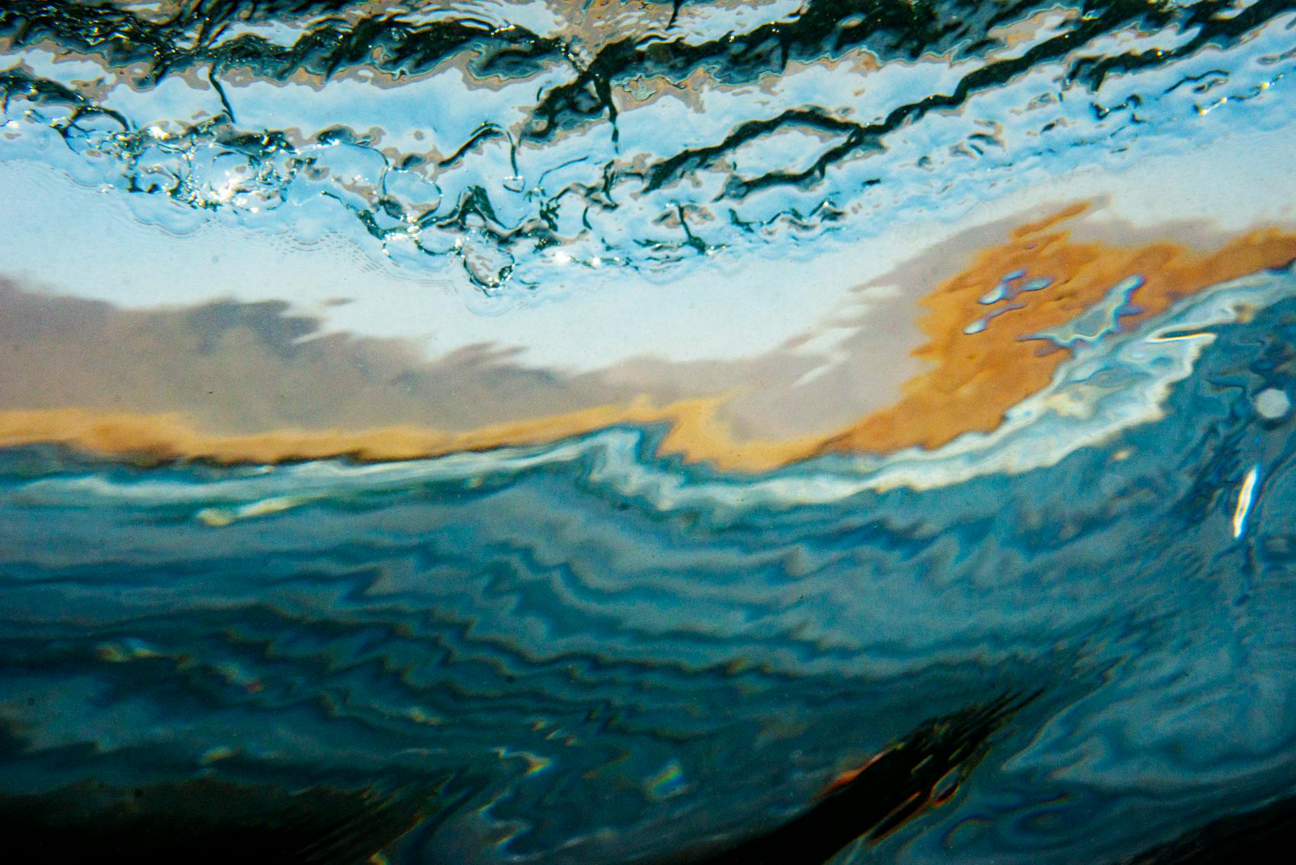 Características y comportamientos del piquete