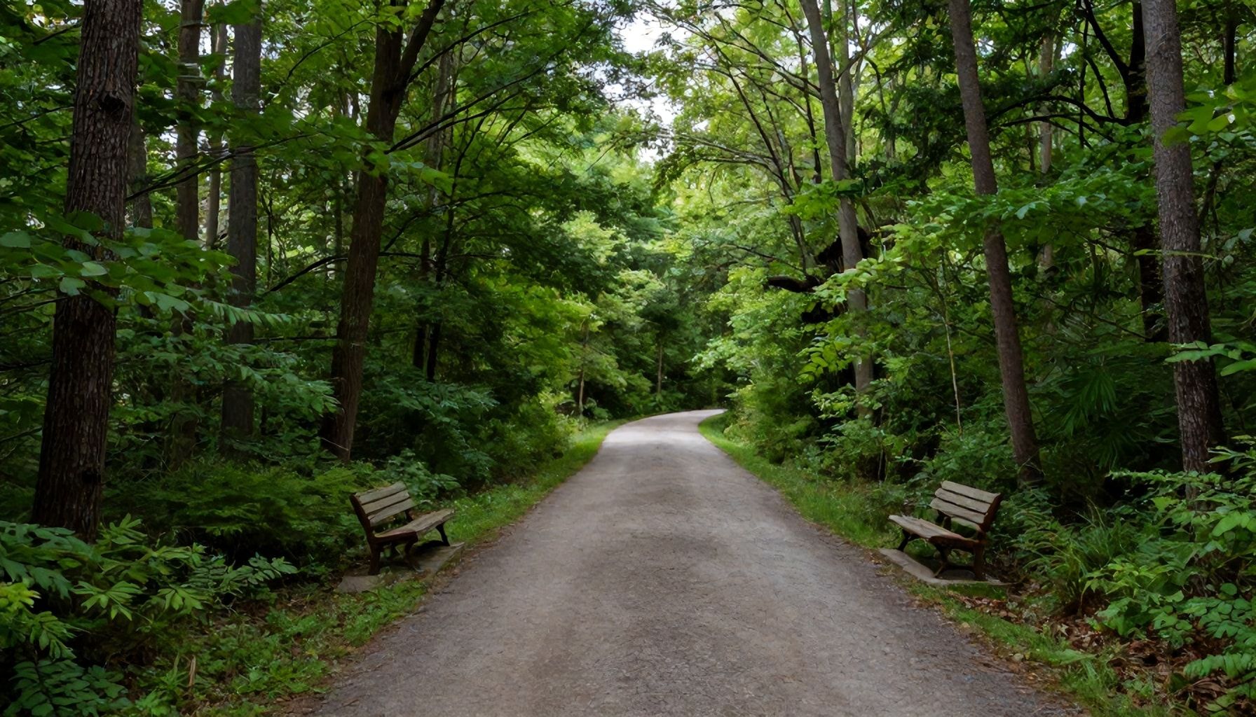 Cómo Explorar los Parques Naturales que Rodean Nashville*