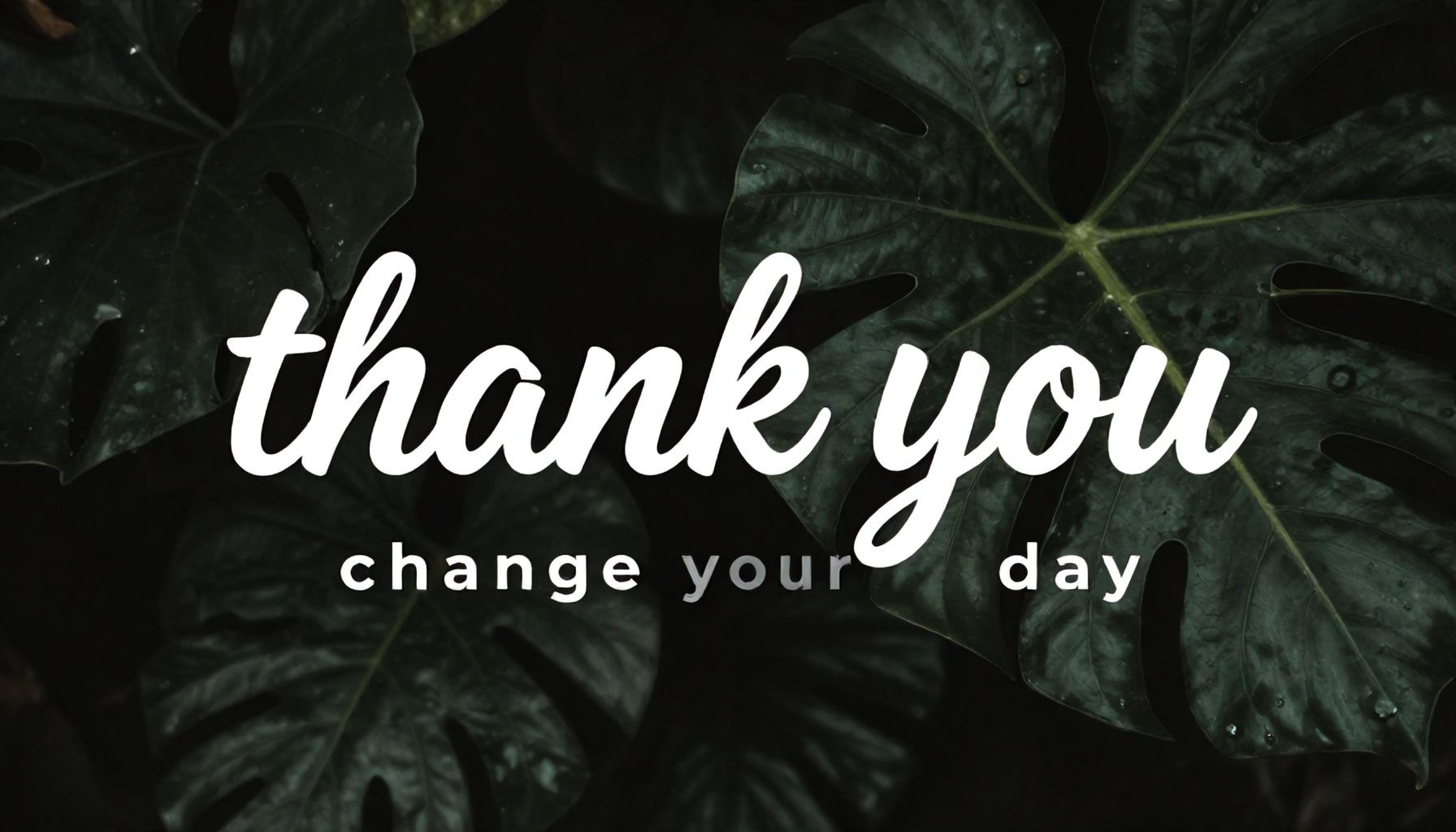 Cómo un simple "gracias" puede cambiar su día (y tu relación)*